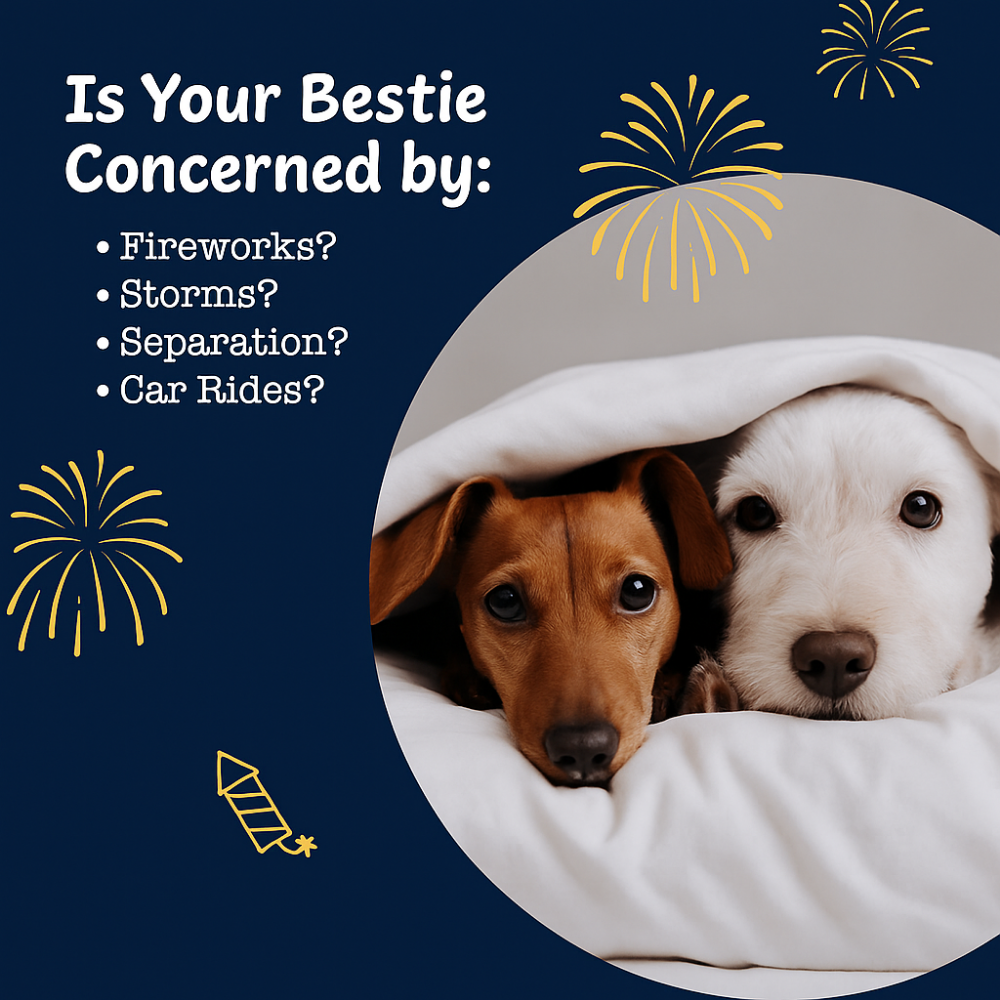 Natural Calming Treats for Dogs - Daily Anxiety & Stress Relief