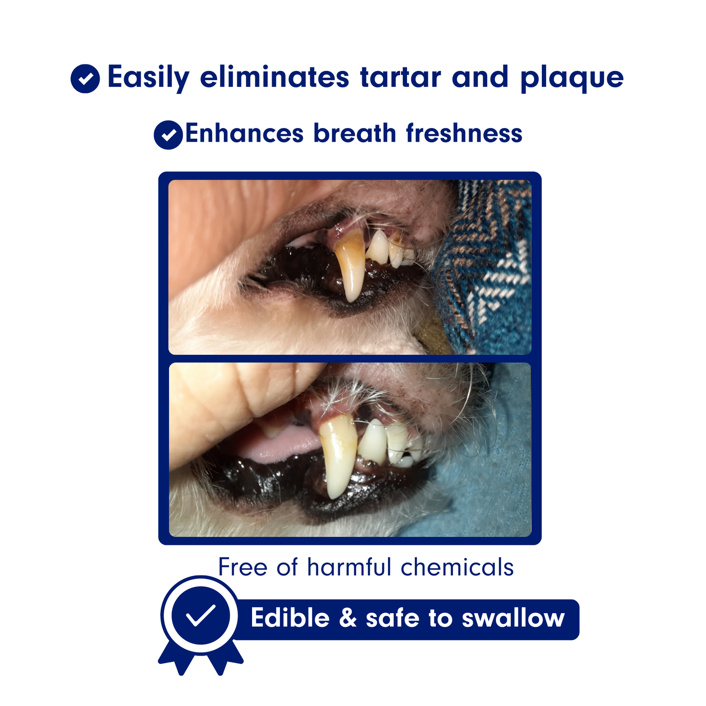 Natural Enzymatic Dog Toothpaste – Removes Tartar & Plaque