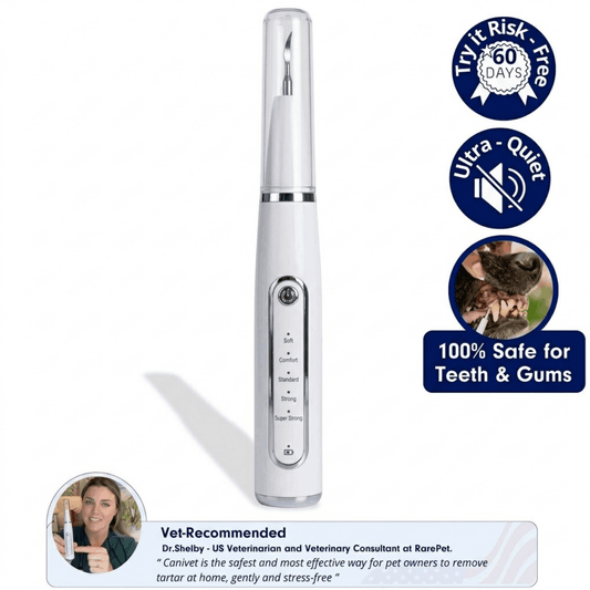 Canivet Kit - Silent Ultrasonic Plaque & Tartar Remover for dogs