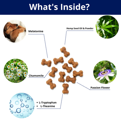 Natural Calming Treats for Dogs - Daily Anxiety & Stress Relief