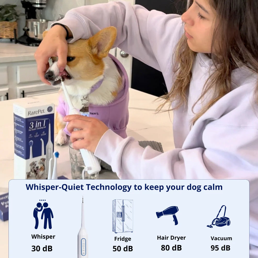 Complete Dog Dental Scaling Kit + Natural Enzymatic Toothpaste