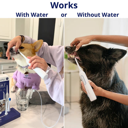 Complete Dog Dental Scaling Kit + Natural Enzymatic Toothpaste