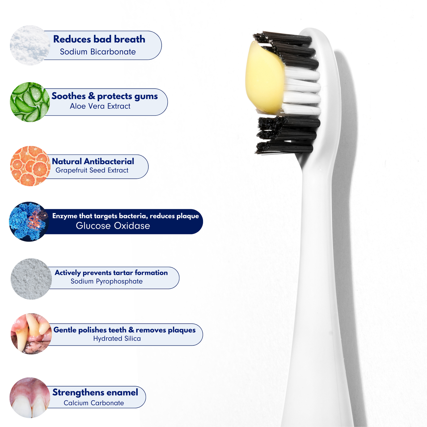 Natural Enzymatic Dog Toothpaste – Removes Tartar & Plaque