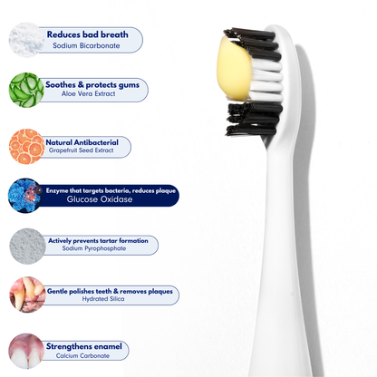 Complete Dog Dental Scaling Kit + Natural Enzymatic Toothpaste