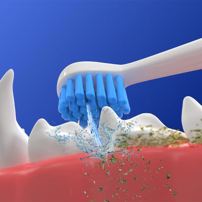 3 Scaler heads + 3 Toothbrush heads - Compatible with Canivet Kit